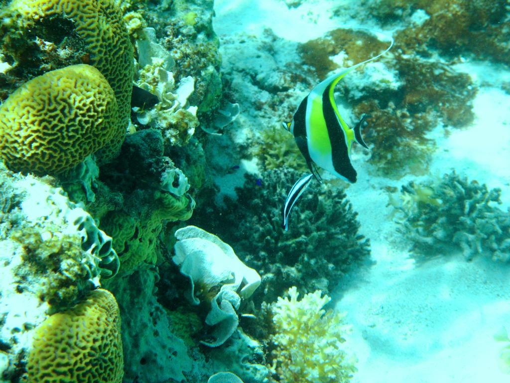 Salt Lake Lodge Savusavu Szoba fotó