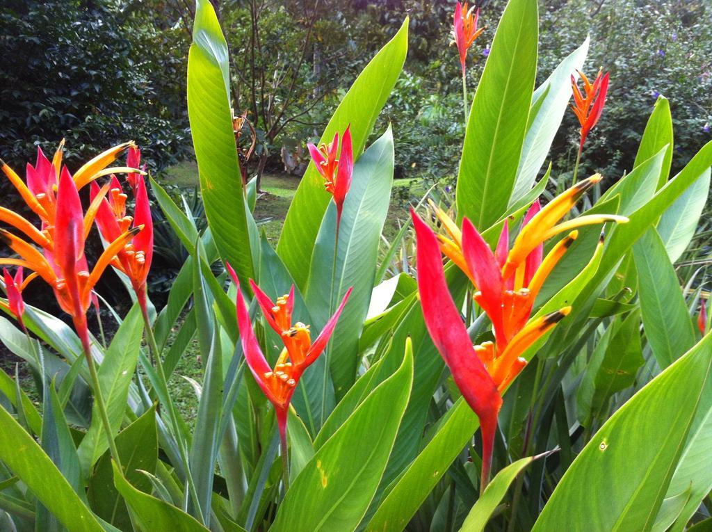 Salt Lake Lodge Savusavu Kültér fotó